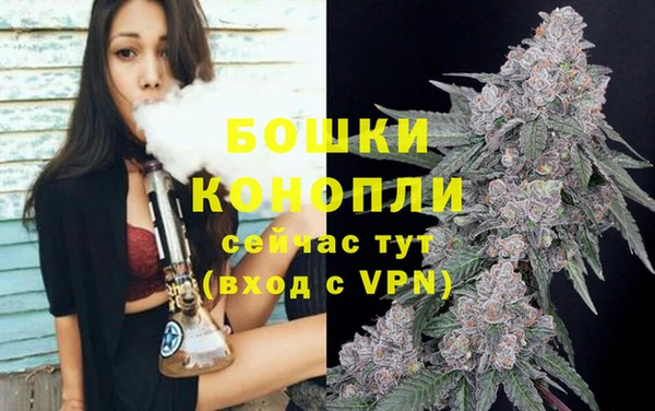 амф Апатиты