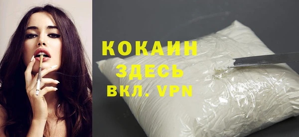 индика Иноземцево